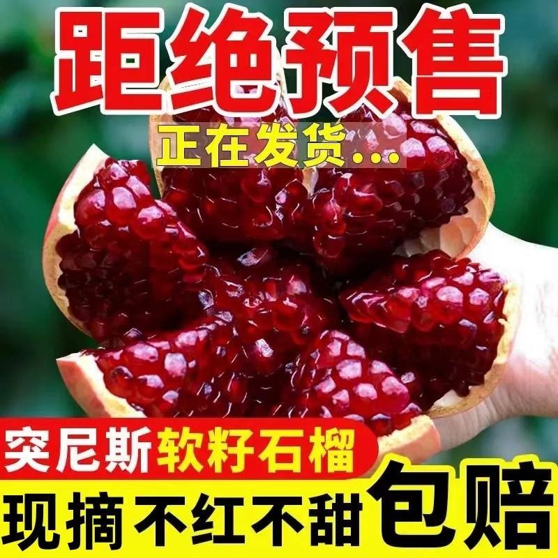正宗突尼斯软籽甜石榴新鲜水果河南河阴大果整箱无籽时令应季
