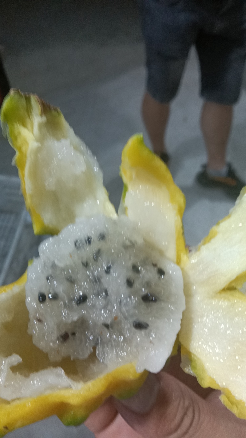 燕窝果果对接出口外贸各大市场电商产地直发精品