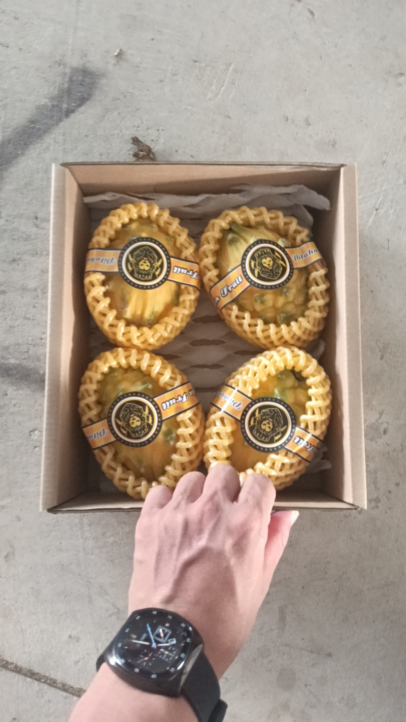 燕窝果果对接出口外贸各大市场电商产地直发精品