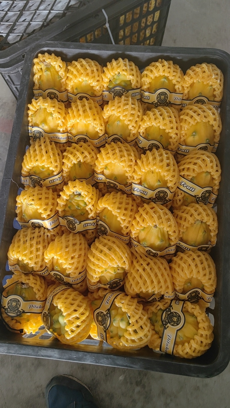 燕窝果果对接出口外贸各大市场电商产地直发精品