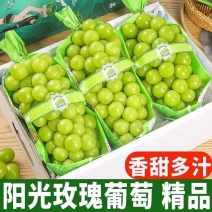 正宗阳光玫瑰葡萄无籽青提当季现货现发整箱绿色无籽