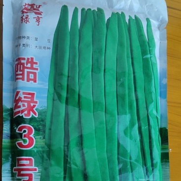 绿亨酷绿3号扁青高品质架豆种子