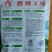 绿亨酷绿3号扁青高品质架豆种子