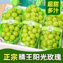 正宗阳光玫瑰葡萄无籽青提当季新鲜水果香印青提葡萄整箱批发