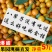 广西融安金桔【超低价】新鲜水果(顺丰包邮)融安滑皮金桔