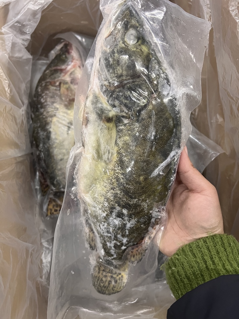 三去桂花鱼