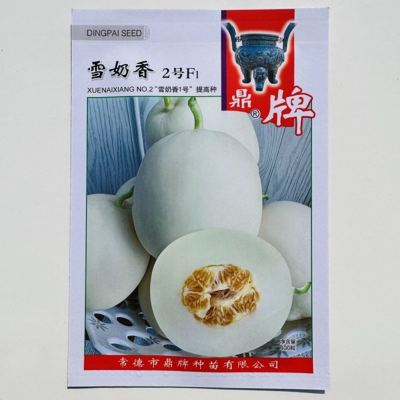 鼎牌雪奶香2号甜瓜种子脆甜味浓纯白皮白肉甜瓜种籽耐裂高糖