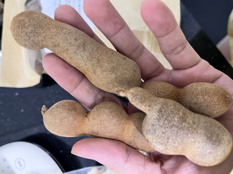 休闲零食云南西双版纳特产甜酸角新鲜带壳精选酸甜可口罗望子