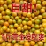 广西融安金桔【超低价】新鲜水果(顺丰包邮)融安滑皮金桔