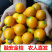 广西融安金桔【超低价】新鲜水果(顺丰包邮)融安滑皮金桔