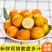 广西融安金桔【超低价】新鲜水果(顺丰包邮)融安滑皮金桔