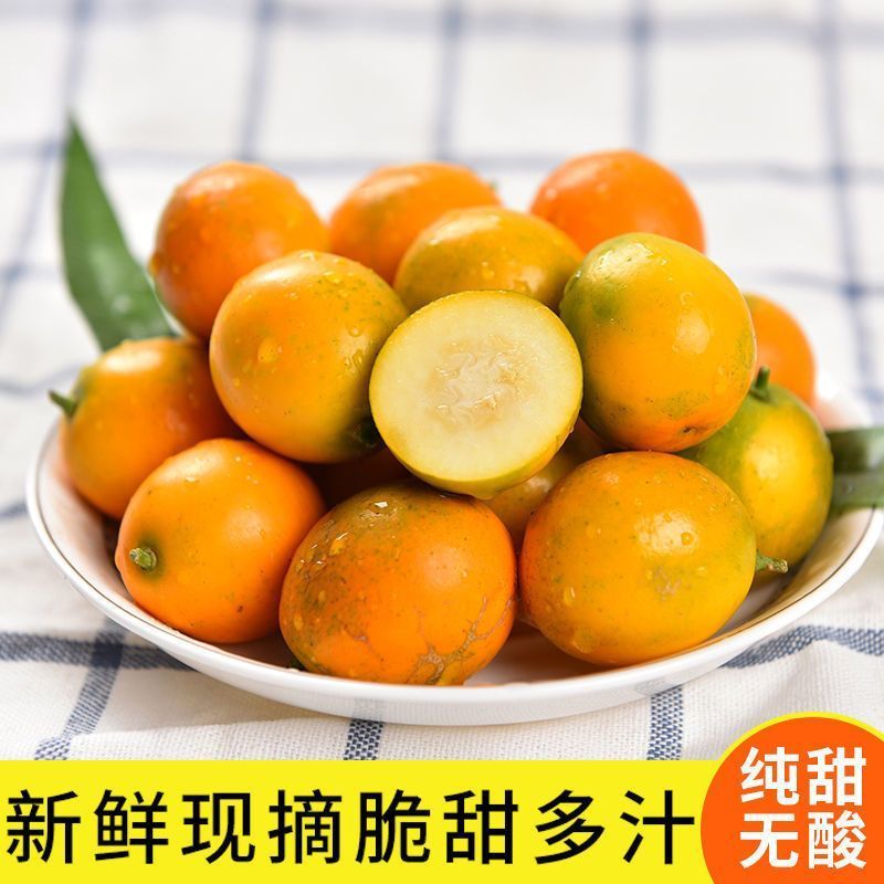 广西融安金桔【超低价】新鲜水果(顺丰包邮)融安滑皮金桔