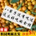 广西融安金桔【超低价】新鲜水果(顺丰包邮)融安滑皮金桔