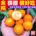 广西融安金桔【超低价】新鲜水果(顺丰包邮)融安滑皮金桔