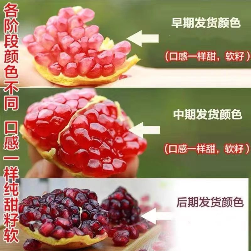 正宗突尼斯软籽甜石榴新鲜水果河南河阴大果整箱无籽时令应季