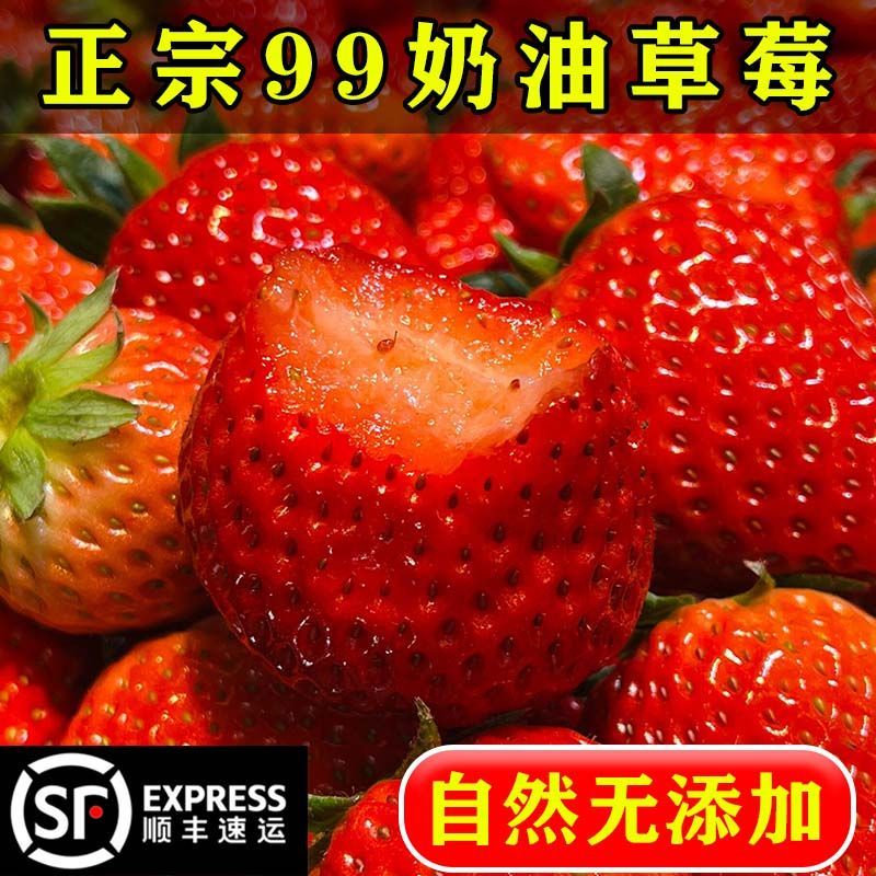 草莓正宗奶油99大草莓新鲜一整箱应季酸甜非丹