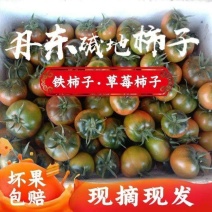 丹东盐碱地铁皮柿子草莓柿子绿腚碱地油柿子铁皮西红柿水果番