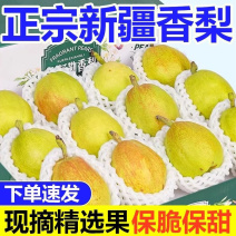 正宗新疆库尔勒香梨新鲜当季水果孕妇梨子全母梨特产特级礼盒