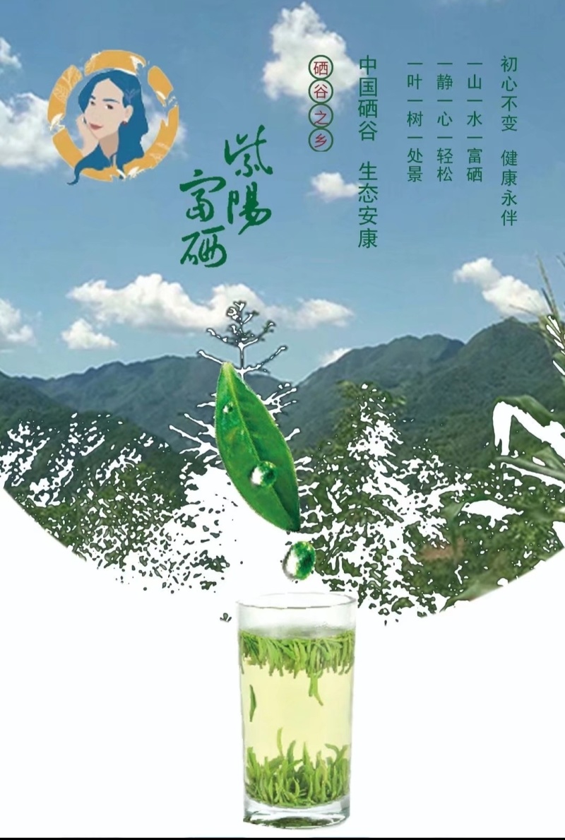 毛尖茶徐小凤的茶紫阳富硒茶园直供，手工采摘制作，海拔高