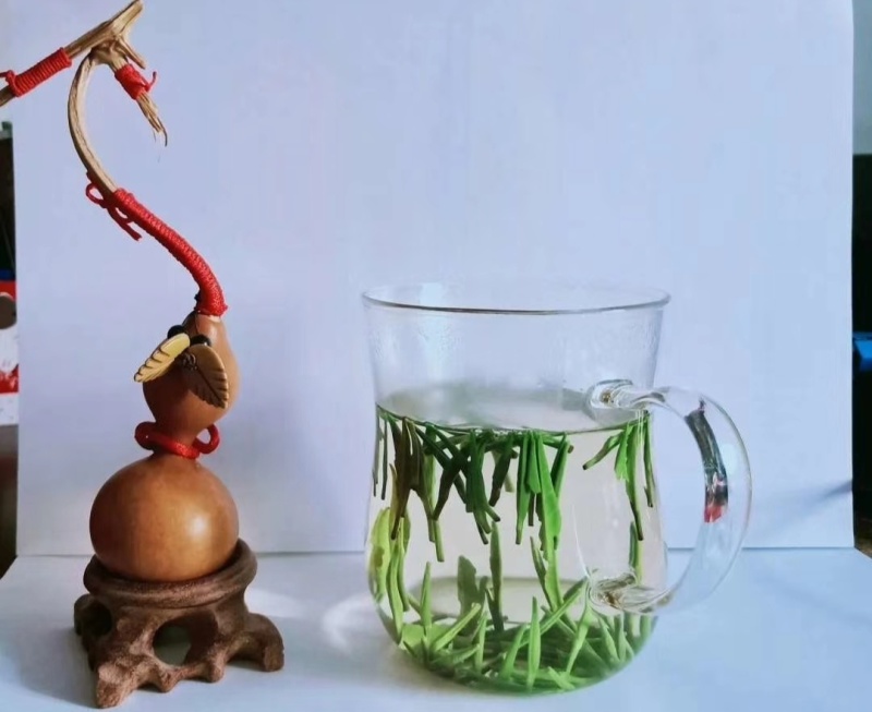 富硒茶绿茶紫阳茶园直供徐小凤富硒茶区手采干净