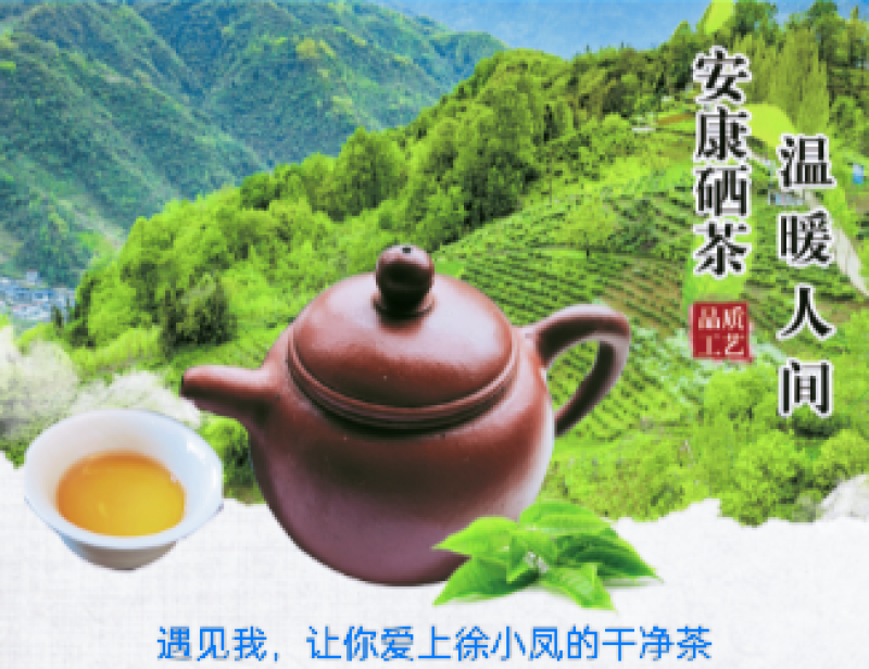 古树红茶徐小凤紫阳富硒红茶太阳晒干金沙土干净奋斗快乐传承