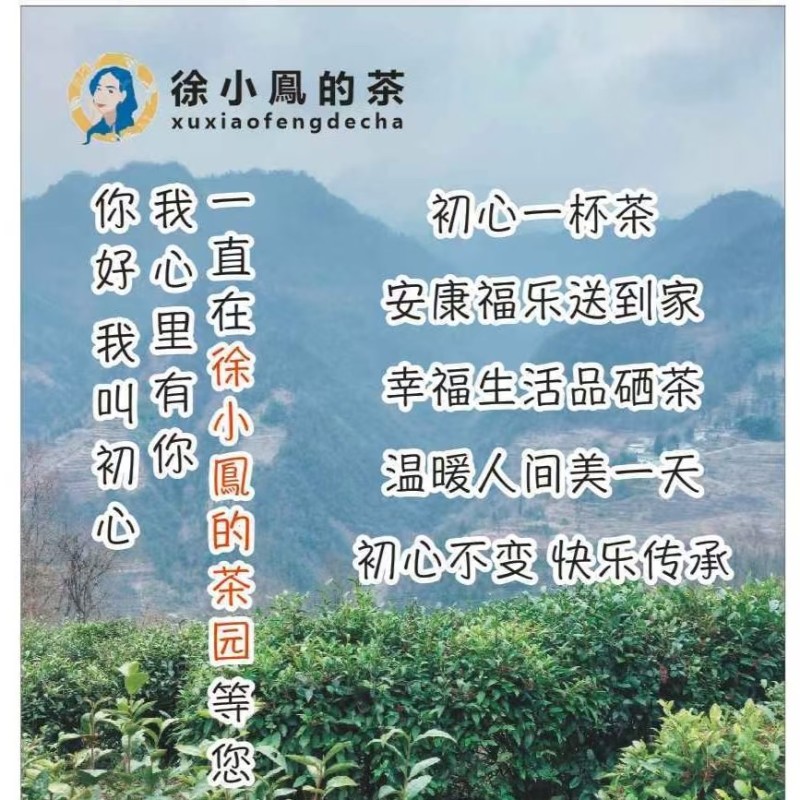 茶叶徐小凤的茶，紫阳富硒茶园直供金沙土手工采摘海拔高初心