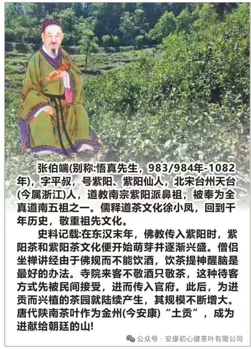 茶叶徐小凤的茶，紫阳富硒茶园直供金沙土手工采摘海拔高初心