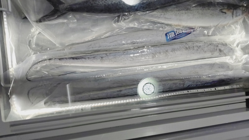 渤海湾小眼油带