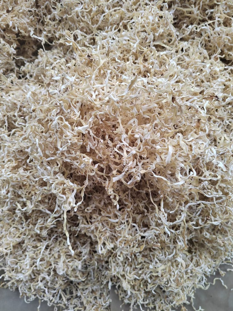 竹耳丝白木耳丝竹肚菌丝竹耳菌竹耳丝竹肚菌丝足干竹耳丝
