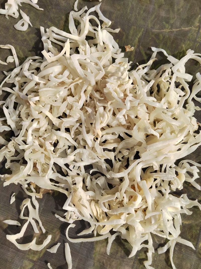 竹耳丝白木耳丝竹肚菌丝竹耳菌竹耳丝竹肚菌丝足干竹耳丝