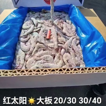 红太阳大板虾，虾皇，有信，一手货源，品质保证，欢迎咨询