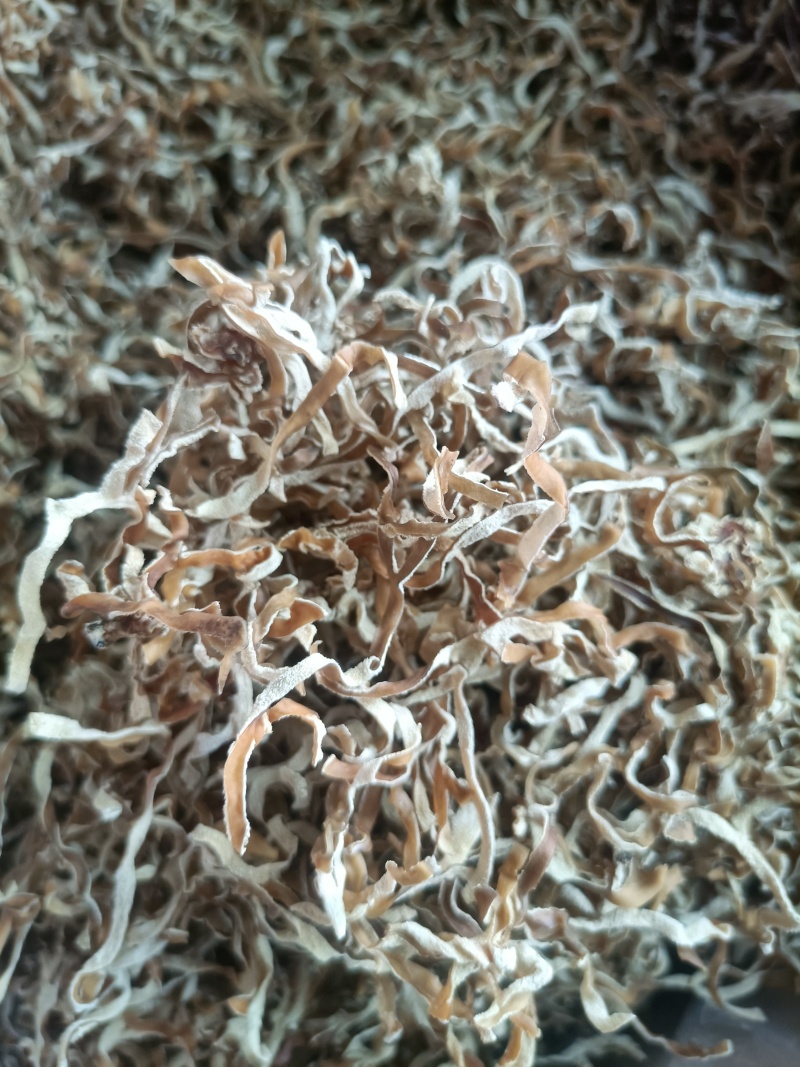 竹耳丝白木耳丝竹肚菌丝竹耳菌竹耳丝竹肚菌丝足干竹耳丝
