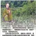 毛尖茶徐小凤的茶紫阳富硒茶园直供，手工采摘制作，海拔高