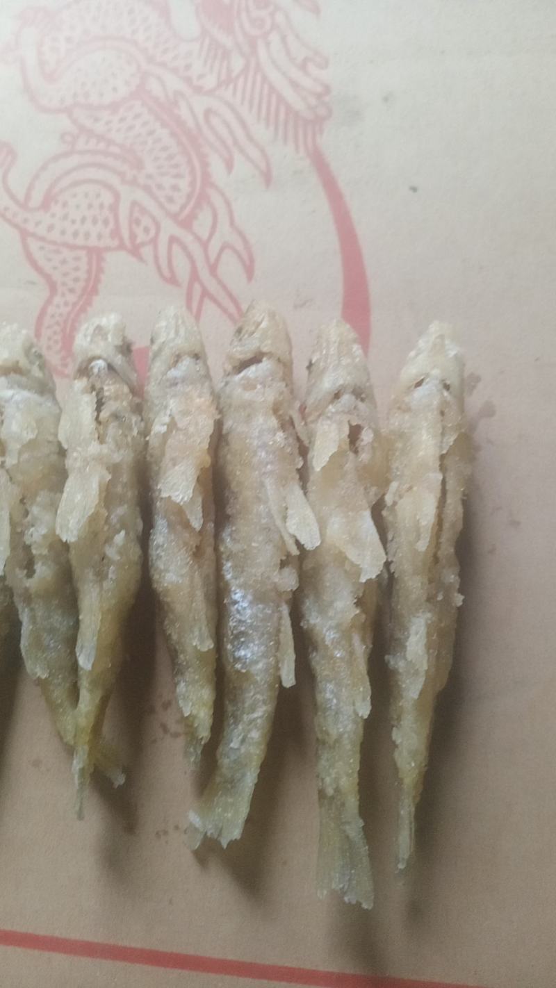 微山湖，麦穗鱼，油炸，鲜货，量大，开肚淀粉油炸二十五一斤