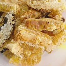 深山土蜂蜜中华蜂产蜜纯正原蜜质量保证