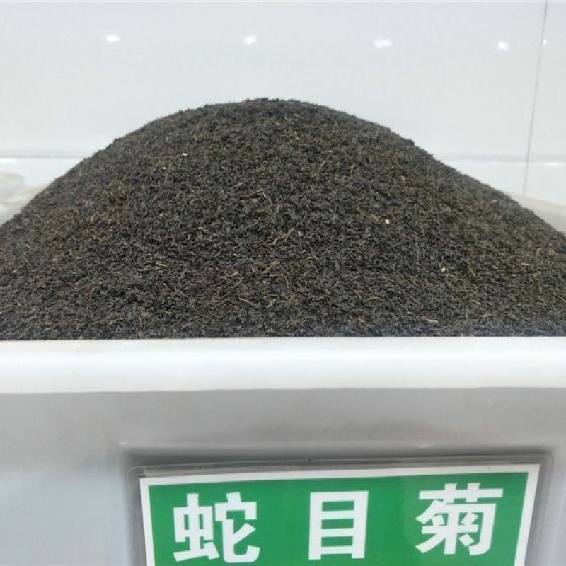 多年生蛇目菊种子昆仑雪菊双色金鸡菊种子耐寒花卉阳台盆栽