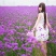 柳叶马鞭草种子四季播种开花大面积花海公园乡村绿化的马边草