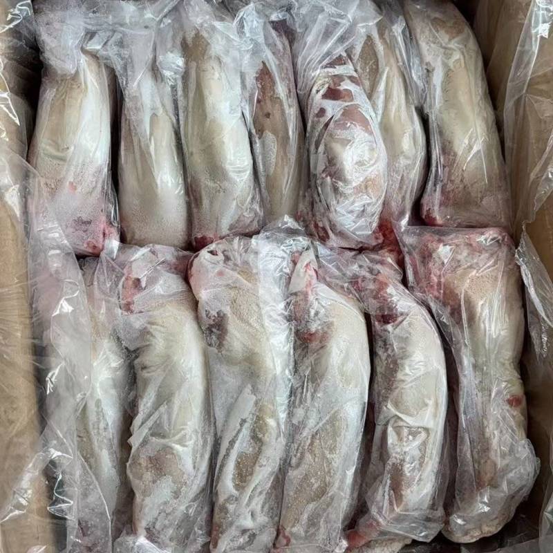 20一22个纯干猪口条承接加工肉店卤味粮油门市商超新日期