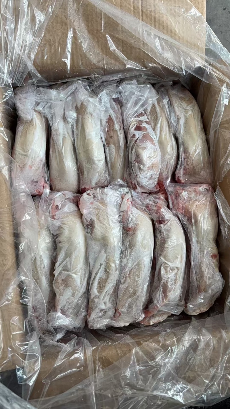 20一22个纯干猪口条承接加工肉店卤味粮油门市商超新日期