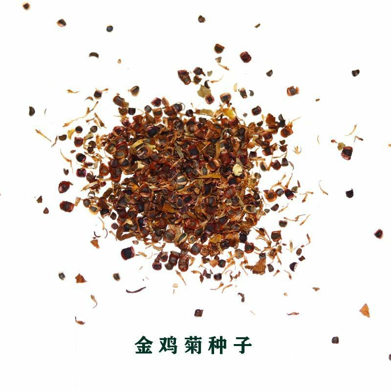 金鸡菊花种子多年生宿根耐寒花籽景观花海庭院阳台易播种花草