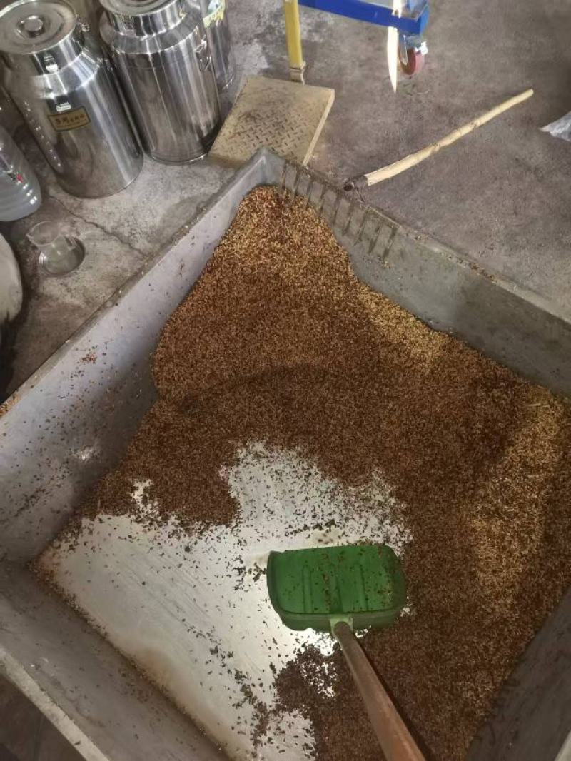 白酒纯粮酒散装批发零售厂家直销