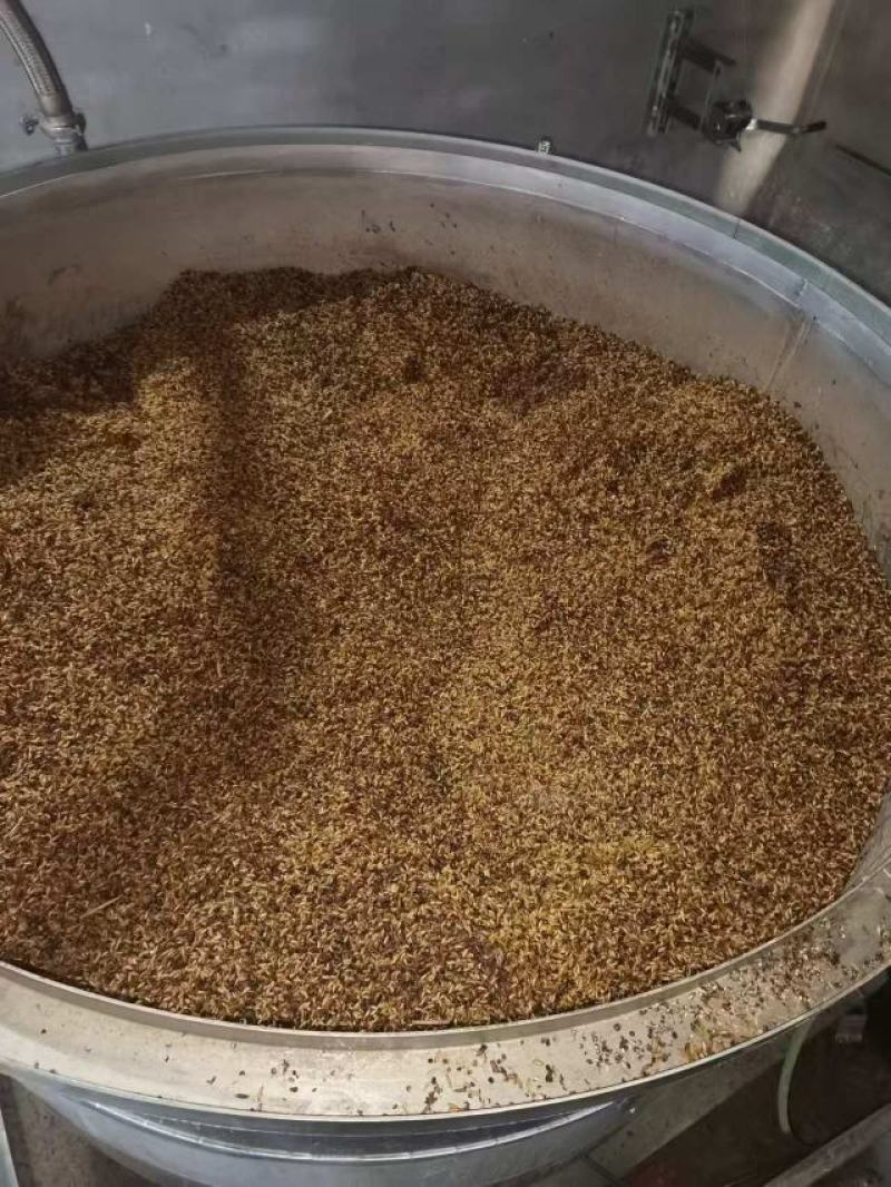 白酒纯粮酒散装批发零售厂家直销