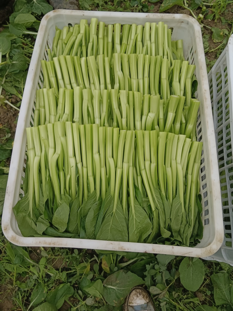 大降价