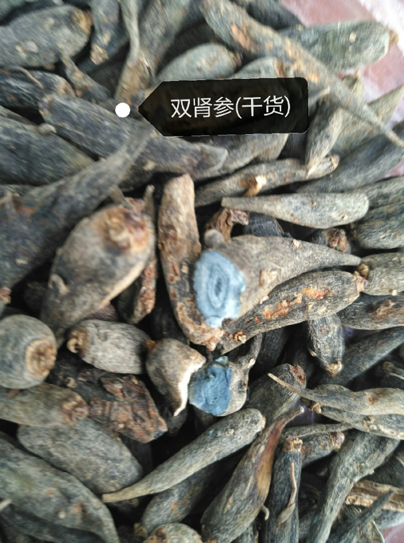 双肾参云南高山野生药材物美价廉可配多种药材一起批发