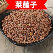 莱菔子白萝卜子炒卜子优质精选产地直销一手货源