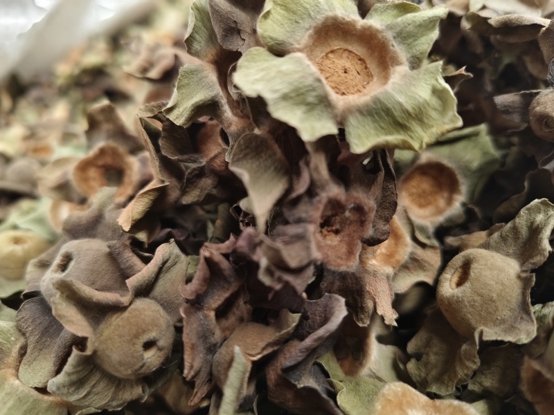 柿蒂新货柿子蒂无硫***色青无杂质河南柿蒂