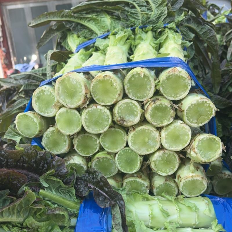 台州精品莴笋产地直达