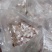 白鲢鱼泡鱼肚鱼鳔全国发货质量保证欢迎下单