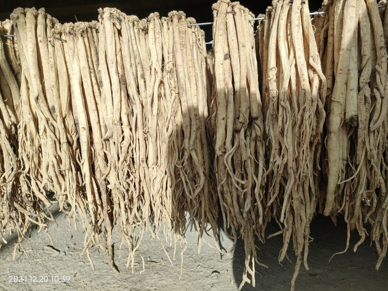 甘肃岷县精品无硫党参产地直销一手货源没有中间商