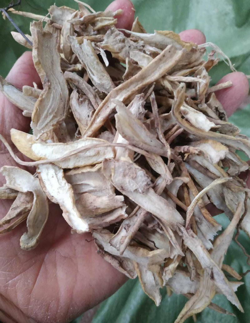 小百部，大百部，零售加批发，量大从优货源稳定